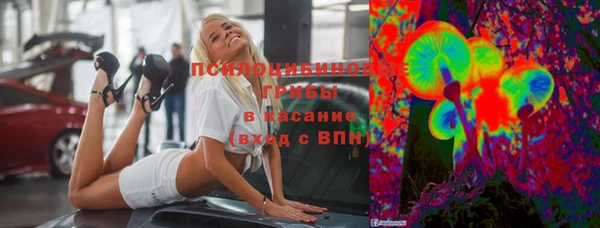 шишки Дмитровск