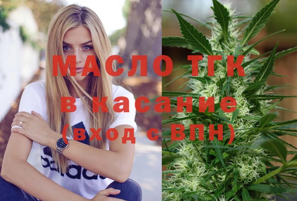 индика Елабуга