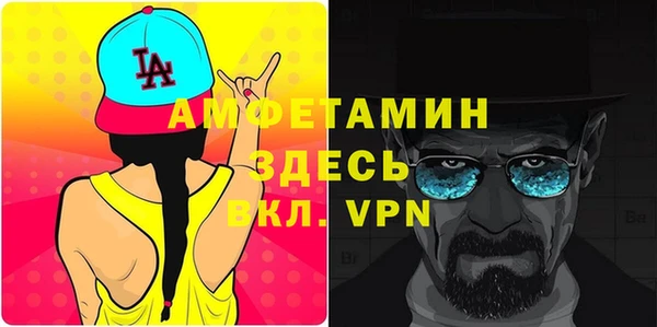ПСИЛОЦИБИНОВЫЕ ГРИБЫ Дмитриев
