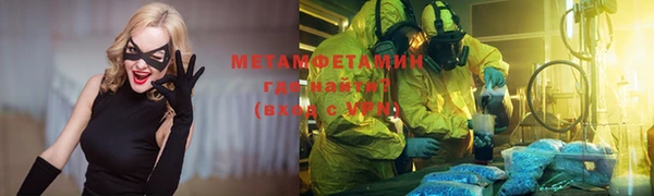 ПСИЛОЦИБИНОВЫЕ ГРИБЫ Дмитриев