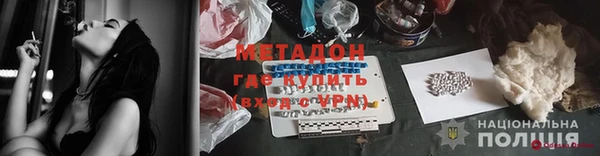 шишки Дмитровск