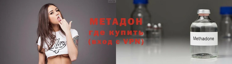 шишки Дмитровск