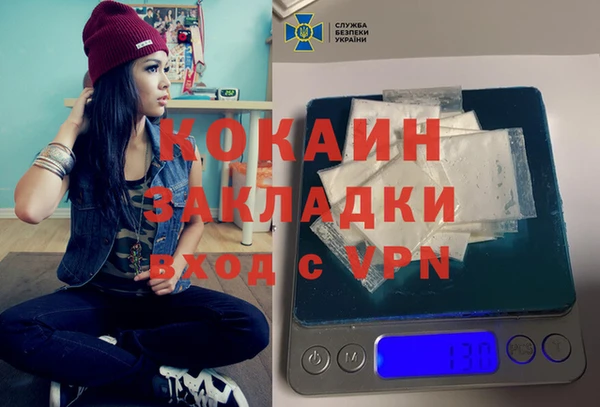 ПСИЛОЦИБИНОВЫЕ ГРИБЫ Дмитриев