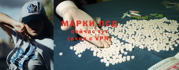 индика Елабуга