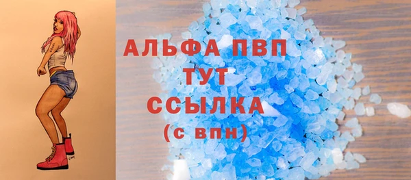 индика Елабуга