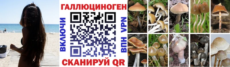 Купить закладки  Сибай  Псилоцибиновые грибы ЛСД 